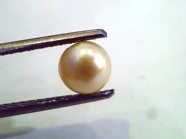 1.18 Carat Natural Certified Real South Sea Pearl,Certified Moti