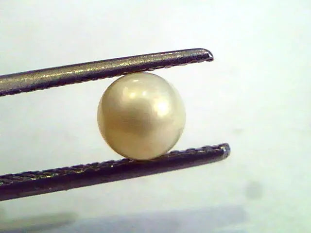 1.54 Carat Natural Certified Real South Sea Pearl,Certified Moti