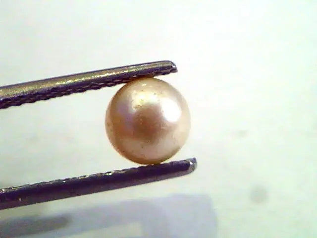 1.57 Carat Natural Certified Real South Sea Pearl,Certified Moti