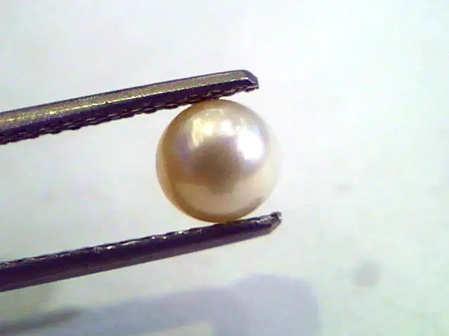 1.29 Carat Natural Certified Real South Sea Pearl,Certified Moti