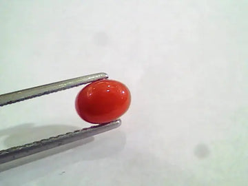 1.33 Carat Natural Italian Red Coral Moonga Gemstone AAAA