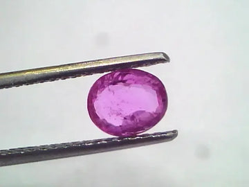 1.34 Ct Unheated Untreated Natural Madagaskar Ruby Manik Gems - Venus Gems
