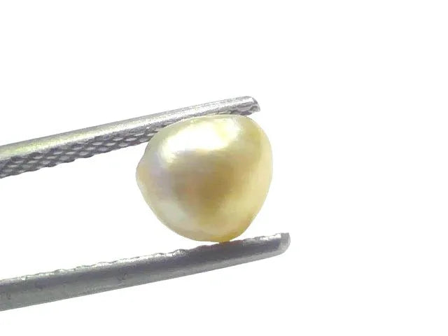 1.36 Ct Certified Natural Venunjula Real Sea Pearl Real Moti For Moon - Venus Gems