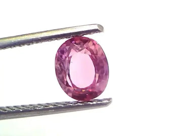 1.45 Ct Certified Unheated Untreated Natural Madagaskar Ruby Gems - Venus Gems
