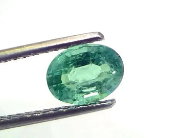 1.50 Ct Certified Untreated Natural Zambian Emerald Gemstone Panna - Venus Gems