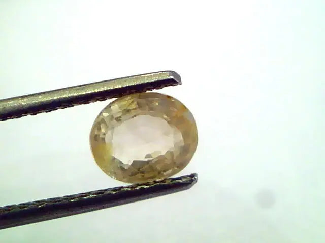 1.63 Ct Unheated Untreated Natural Ceylon Yellow Sapphire Pukhraj
