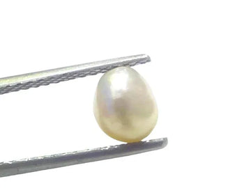 1.68 Ct Certified Natural Venunjula Real Sea Pearl Real Moti For Moon - Venus Gems