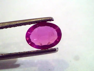 1.68 Ct Certified Unheated Untreated Natural Ceylon Ruby/Sapphire