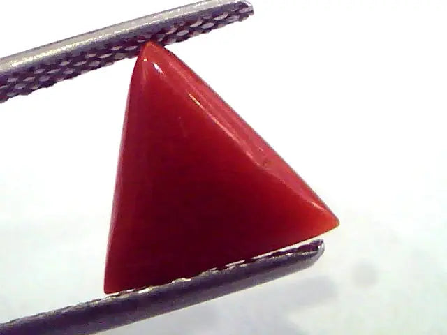 1.77 Carat Natural Italian Triangle Red Coral Moonga Gemstone