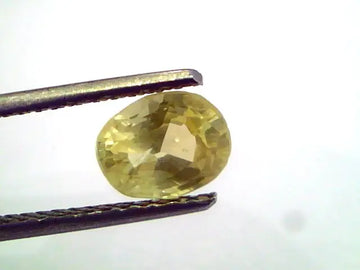 1.77 Ct Unheated Untreated Natural Ceylon Yellow Sapphire Pukhraj