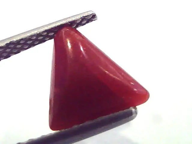 1.82 Carat Natural Italian Triangle Red Coral Moonga Gemstone