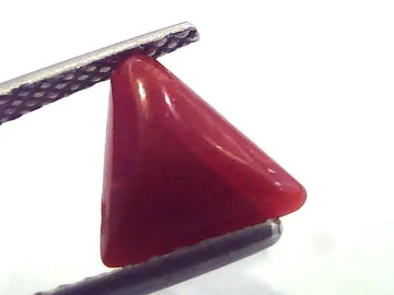 1.82 Carat Natural Italian Triangle Red Coral Moonga Gemstone