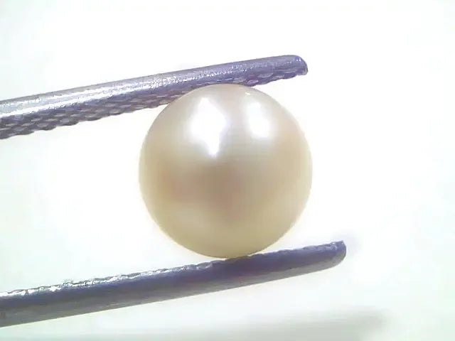 1.83 Ct 2.18 Chaw Natural Basra Pearl Real Basra Moti Certified - Venus Gems
