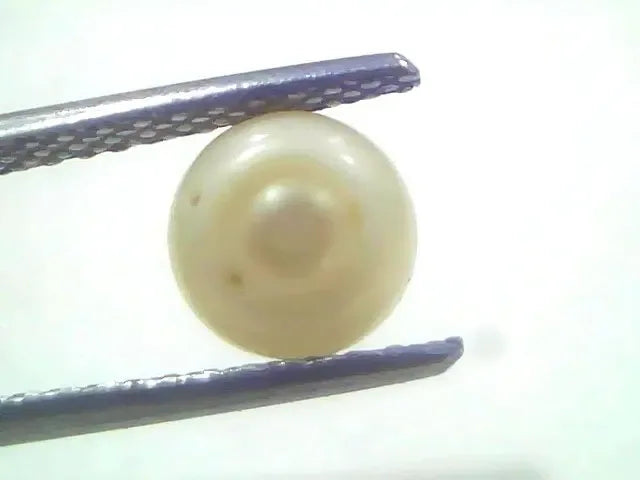 1.83 Ct 2.18 Chaw Natural Basra Pearl Real Basra Moti Certified - Venus Gems