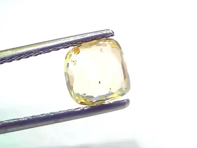 1.90 Ct Certified Unheated Untreated Natural Ceylon Yellow Sapphire - Venus Gems