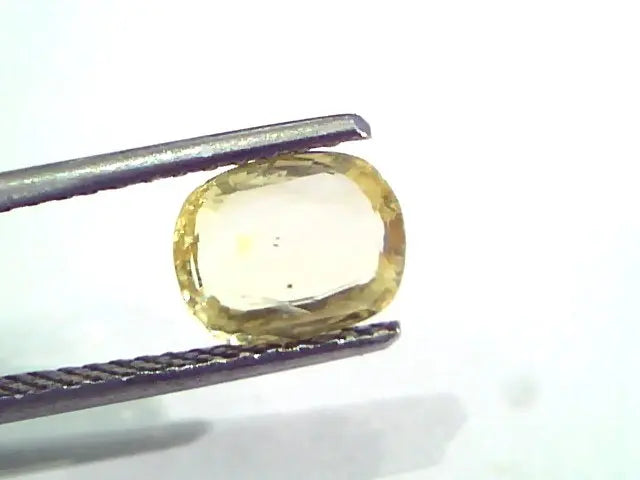 1.88 Ct Unheated Untreated Natural Ceylon Yellow Sapphire Pukhraj