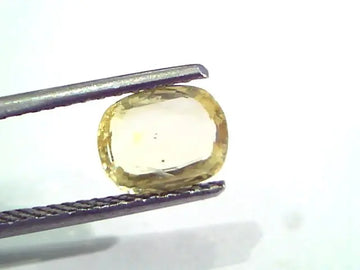 1.88 Ct Unheated Untreated Natural Ceylon Yellow Sapphire Pukhraj