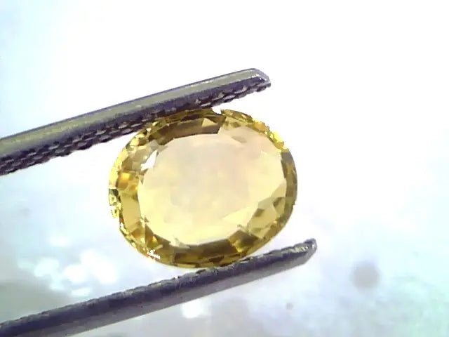 1.88 Ct Unheated Untreated Natural Ceylon Yellow Sapphire/Pukhraj