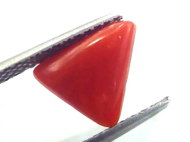 1.89 Carat Natural Italian Triangle Red Coral Moonga Gemstone