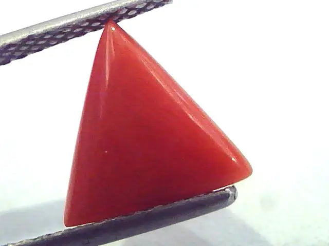 1.91 Carat Natural Italian Triangle Red Coral Moonga Gemstone
