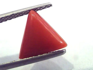1.97 Carat Natural Italian Triangle Red Coral Moonga Gemstone