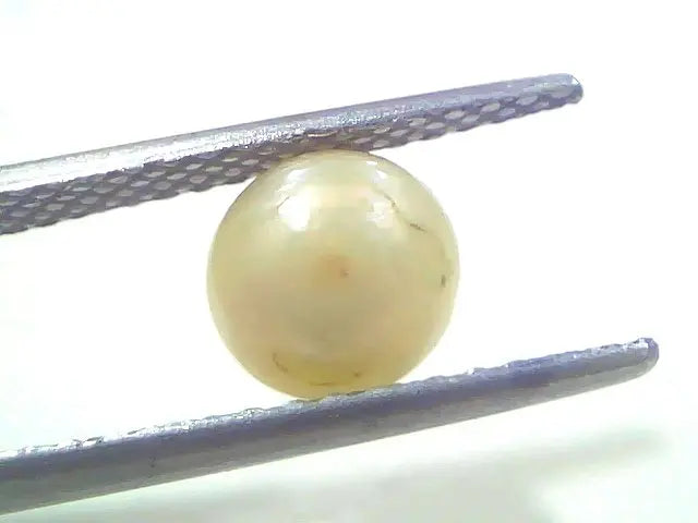 1.98 Ct 2.55 Chaw Natural Basra Pearl Real Basra Moti Certified