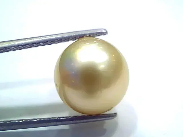 Huge 10.16 Ct Natural Certified Real South Sea Pearl Certified Moti - Venus Gems