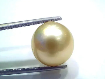 Huge 10.16 Ct Natural Certified Real South Sea Pearl Certified Moti - Venus Gems