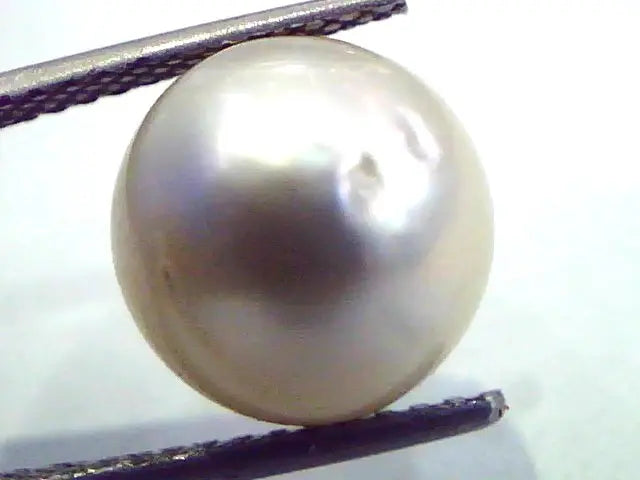 Huge 10.30 Carat Natural Certified Real South Sea Pearl,Certified Moti