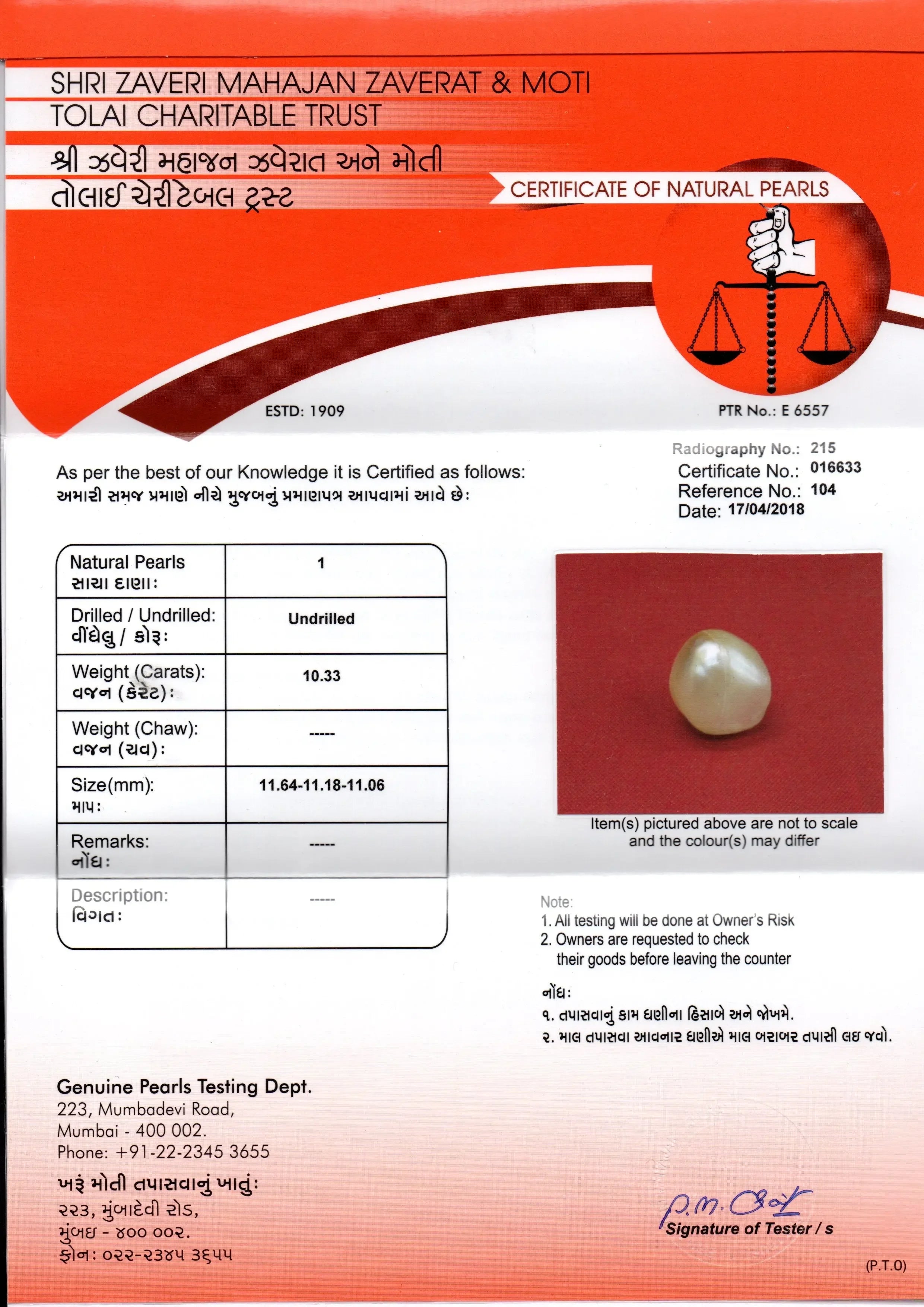 Huge 10.33 Ct Certified Natural Real Venunjula Pearl,Real moti - Venus Gems