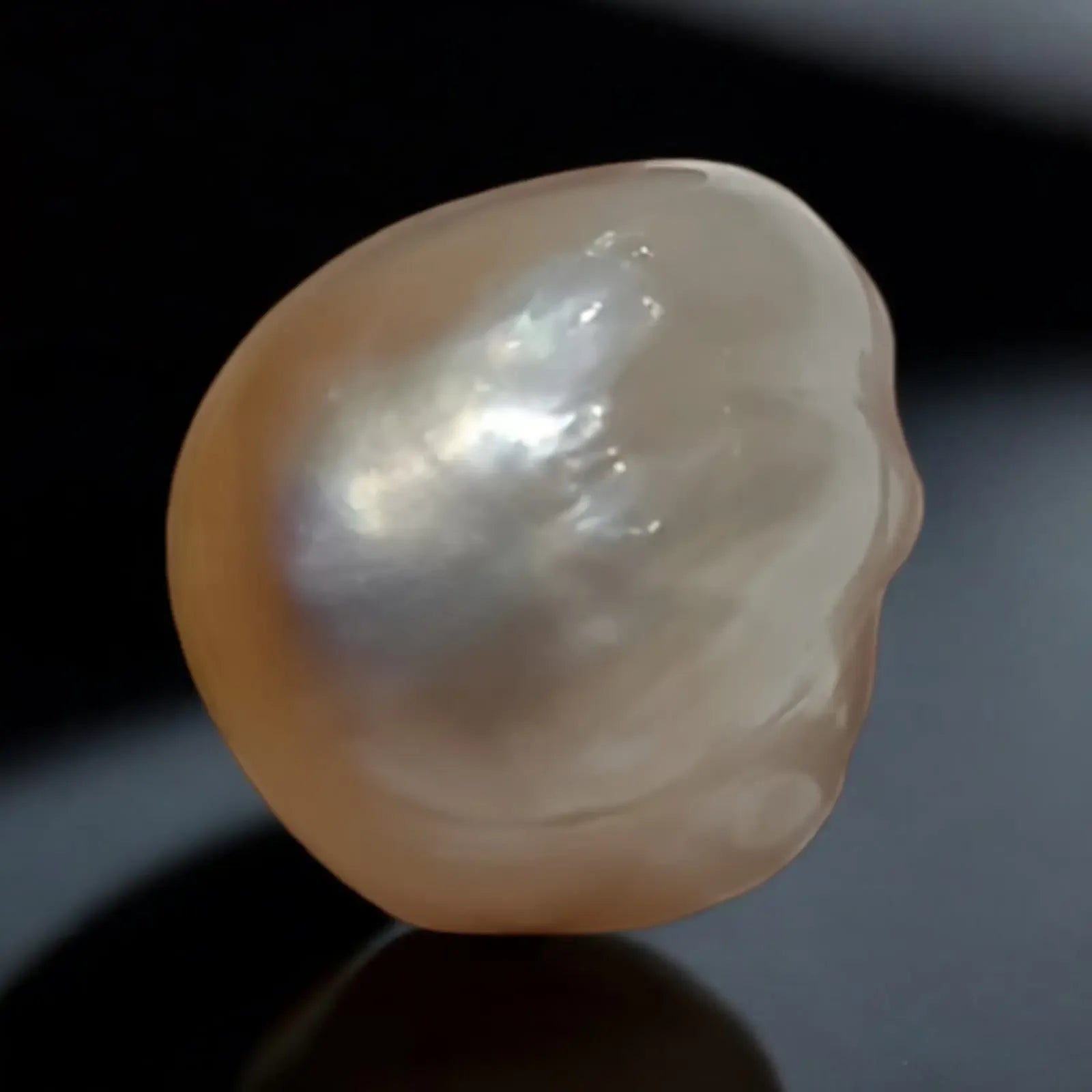 Huge 10.33 Ct Certified Natural Real Venunjula Pearl,Real moti - Venus Gems