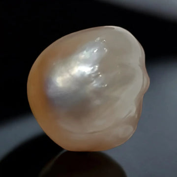 Huge 10.33 Ct Certified Natural Real Venunjula Pearl,Real moti - Venus Gems