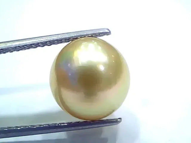 Huge 10.44 Ct Natural Certified Real South Sea Pearl Certified Moti - Venus Gems