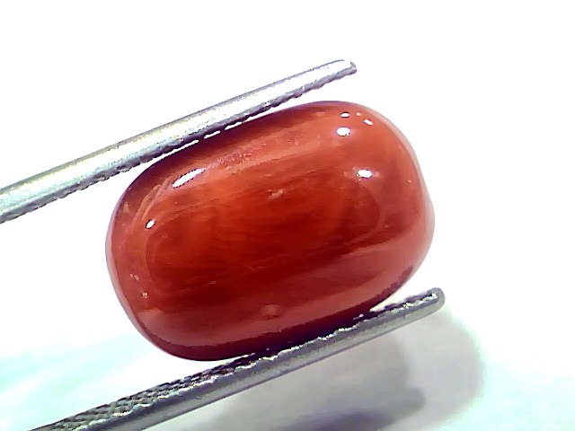 Huge 10.60 Ct 11.64 Ratti Natural Untreated Italian Red Coral Moonga AAAAA
