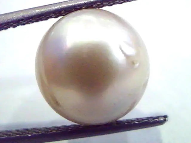 Huge 10.73 Carat Natural Certified Real South Sea Pearl,Certified Moti
