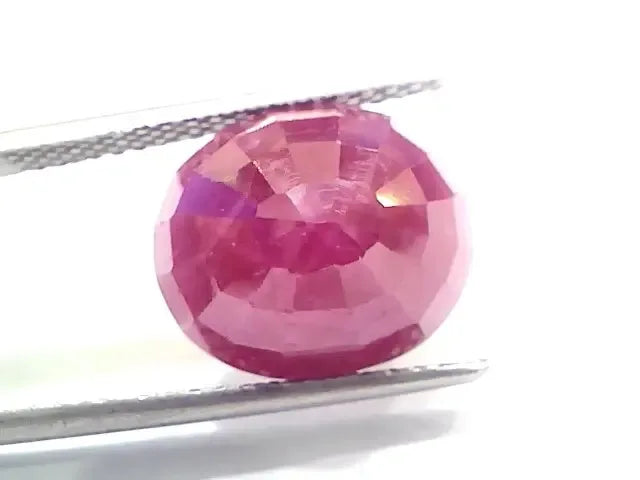 Huge 10.94 Ct GII Certified Unheated Untreated Natural New Burma Ruby - Venus Gems
