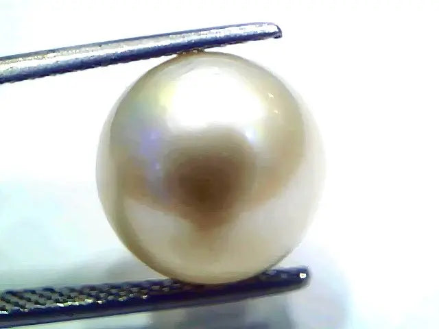 Huge 11.00 Ct Natural Certified Real South Sea Pearl Certified Moti