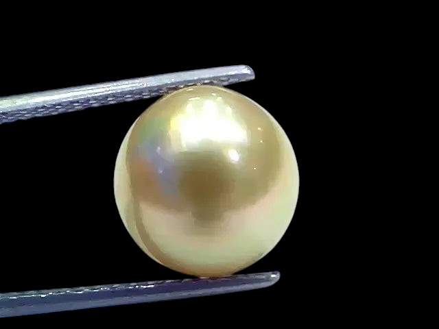 Huge 10.44 Ct Natural Certified Real South Sea Pearl Certified Moti - Venus Gems