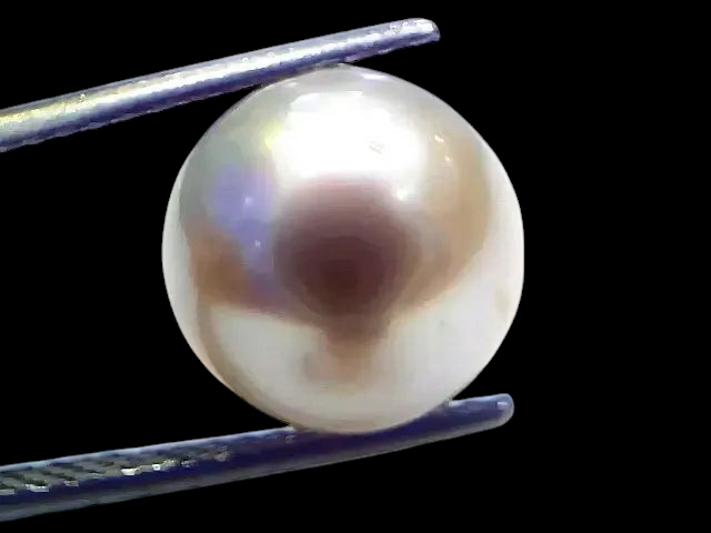 Huge 10.42 Ct Natural Certified Real South Sea Pearl Certified Moti - Venus Gems