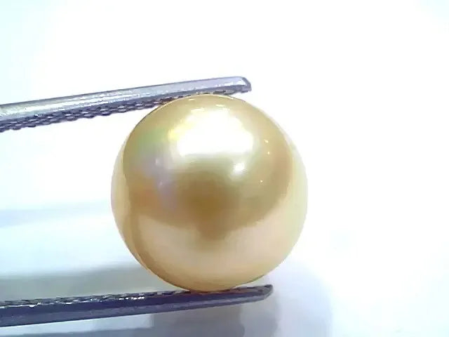 Huge 11.01 Ct Natural Certified Real South Sea Pearl Certified Moti - Venus Gems