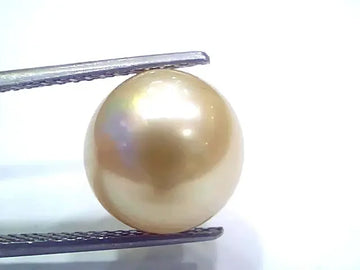 Huge 11.22 Ct Natural Certified Real South Sea Pearl Certified Moti - Venus Gems
