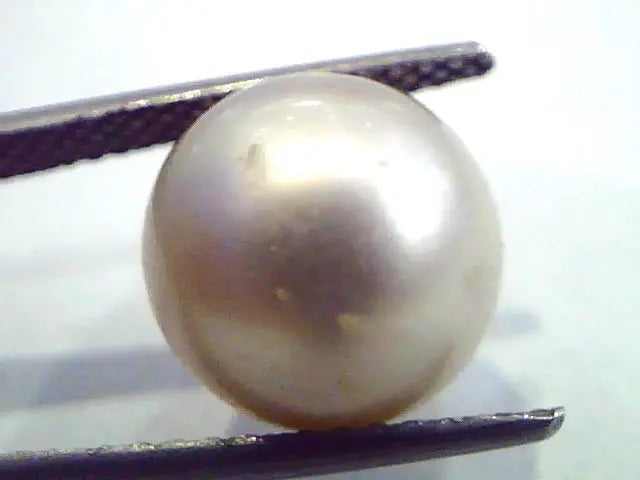 Huge 11.20 Carat Natural Certified Real South Sea Pearl,Certified Moti