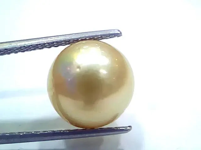 Huge 11.28 Ct Natural Certified Real South Sea Pearl Certified Moti - Venus Gems