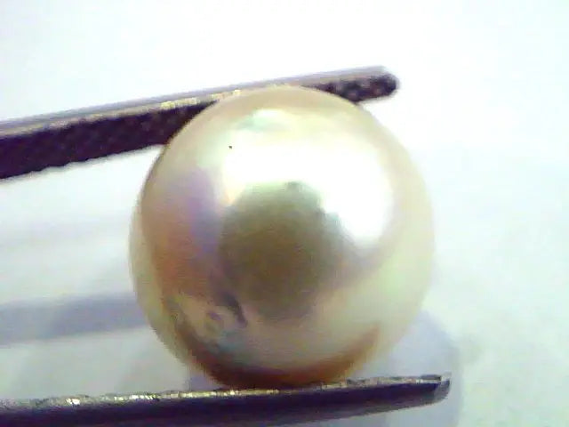Huge 11.32 Carat Natural Certified Real South Sea Pearl,Certified Moti