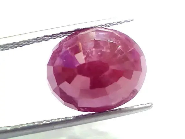 Huge 11.30 Ct IGI Certified Unheated Untreated Natural New Burma Ruby - Venus Gems
