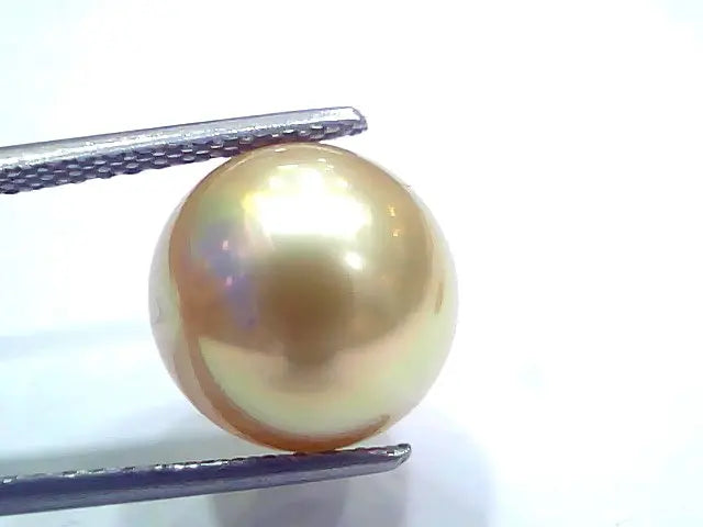 Huge 11.37 Ct Natural Certified Real South Sea Pearl Certified Moti