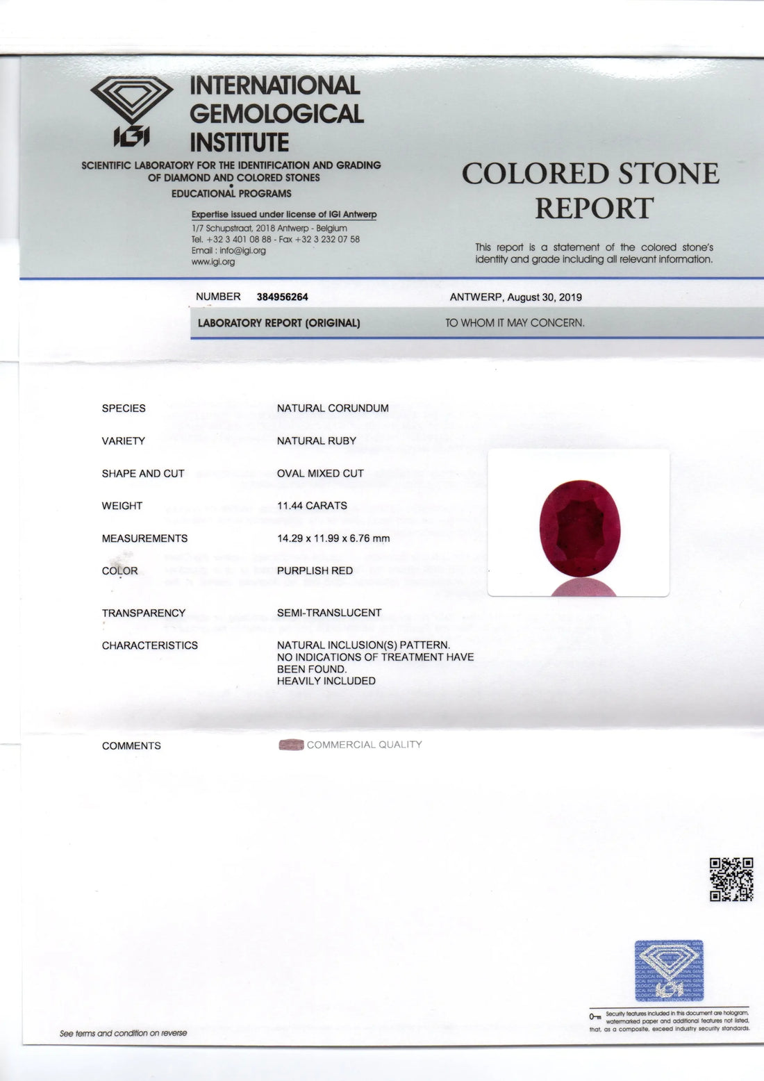 Huge 11.44 Ct IGI Certified Unheated Untreated Natural New Burma Ruby - Venus Gems