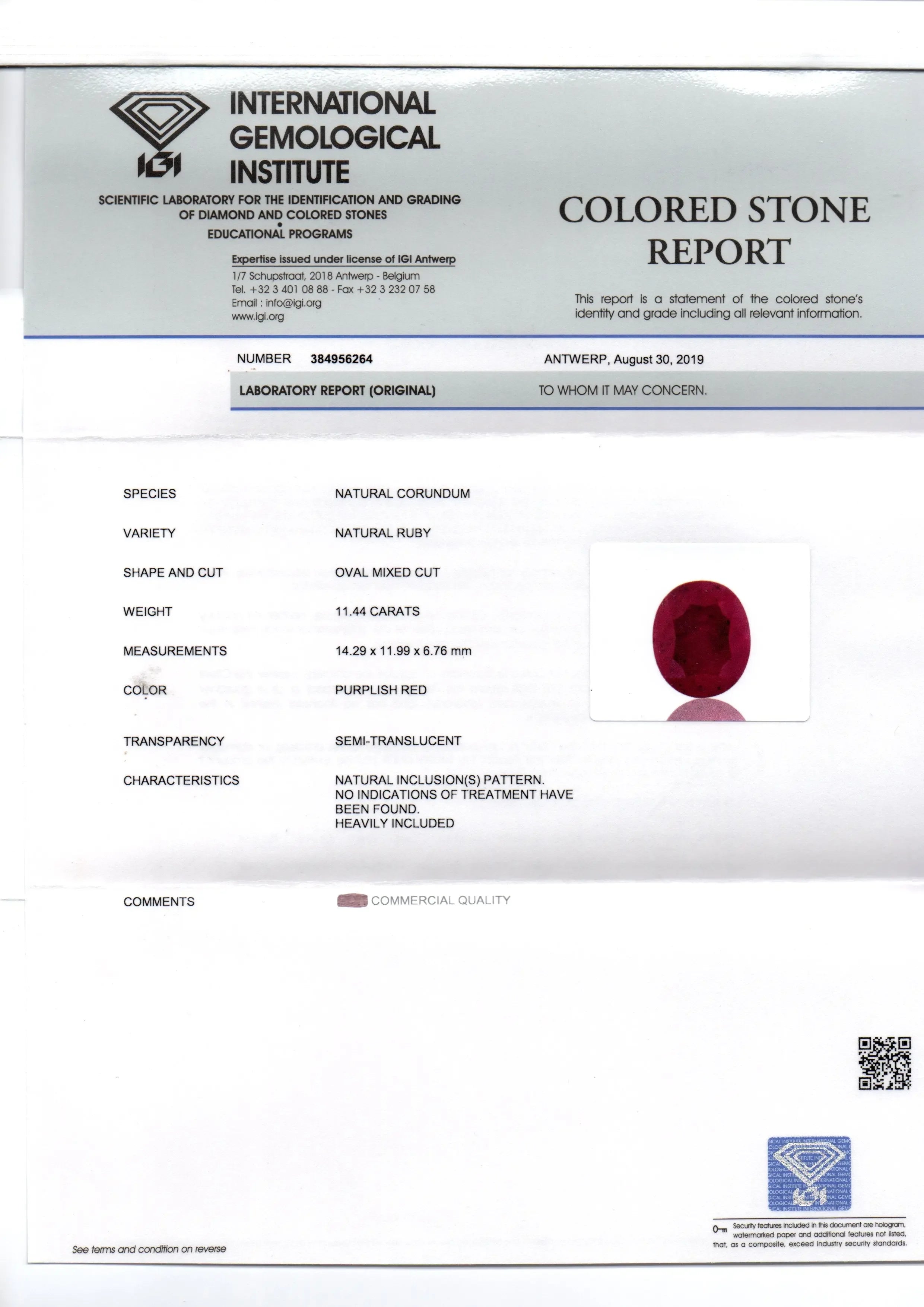 Huge 11.44 Ct IGI Certified Unheated Untreated Natural New Burma Ruby - Venus Gems