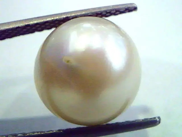 Huge 11.57 Carat Natural Certified Real South Sea Pearl,Certified Moti