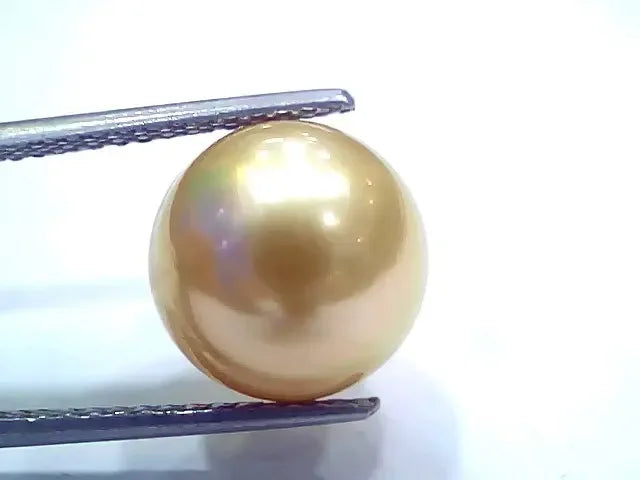 Huge 11.57 Ct Natural Certified Real South Sea Pearl Certified Moti - Venus Gems
